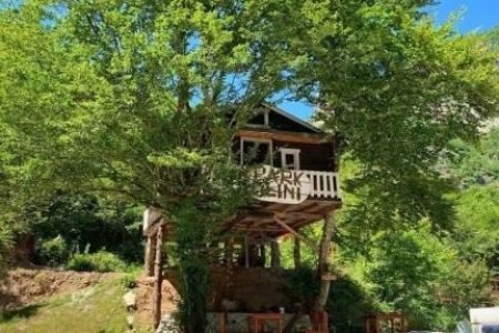 Treehouse