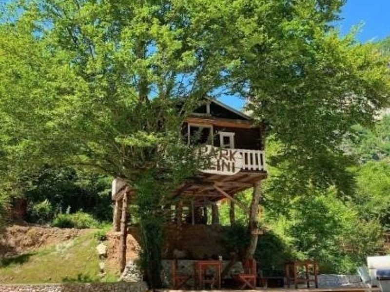 Treehouse