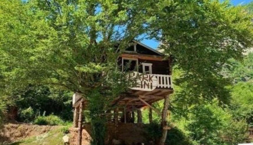 Treehouse